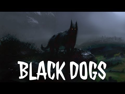 Video: The Ghost Of A Black Dog - Alternative View