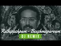 Rathipushpam  bheeshama paravam dj rash remix