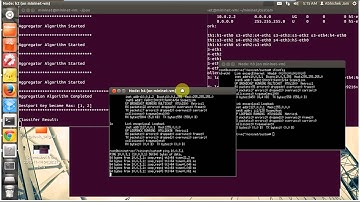 Mininet DDoS Aggregator
