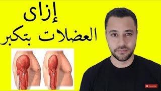 ازاى العضلات بتكبر | طريقة زيادة حجم العضلات ?