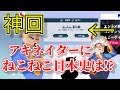 【検証】アキネイターにねこねこ日本史はあるのか!? 【ねこねこ日本史】