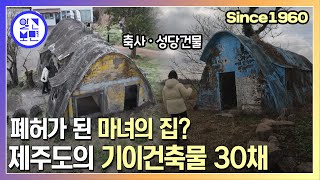 이라크식 주택이 왜 제주도에?