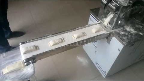 CANMAX Automatic #304 Stainless Steel Spring Roll Making Machine (DM-100)