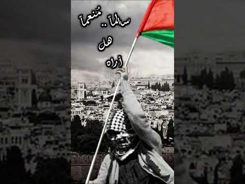 هي أرض الميعاد جديد فلسطين هدنة غزة هدنة وقف اطلاق النار