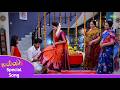 Malli Serial | Special Song | Oru Santhana Kaattukkulle Recreation | Saregama Dice TV Shows Tamil