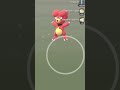 Hatching NEW Cool Pokemon Go EGGS!