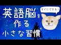 英語脳を作る小さな習慣｜毎日コツコツと楽しく続けられる英語の勉強方法