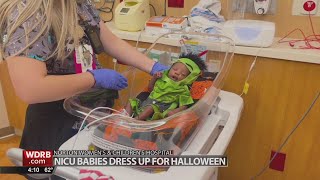 Babies dressed up for Halloween at Norton Women's and Children's Hospital NICU screenshot 5