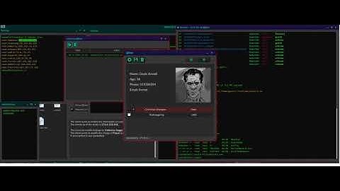 Grey Hack Mission : Police Records Editing With my tools