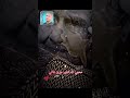 حكمة ووصية ام لابنها ماتخافش من عدوك ولكن خاف من دوك اللي يحبوك