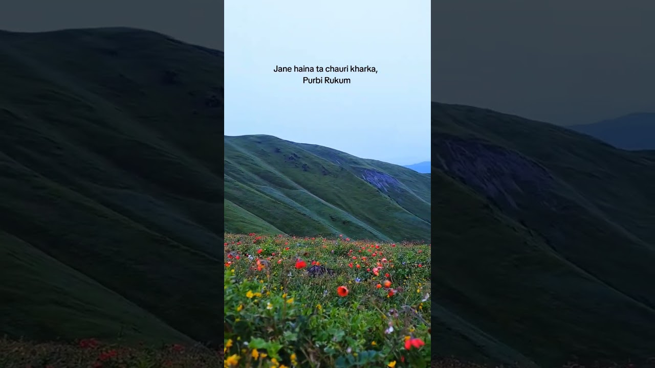 "Western Rukum, Nepal!❤️ Chaurikharka(Chungri Buki)💚⛰️ 