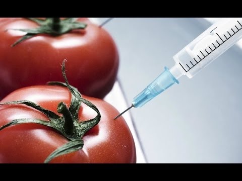 გენმოდიფიცირებული პროდუქტები (გენური ინჟინერია)