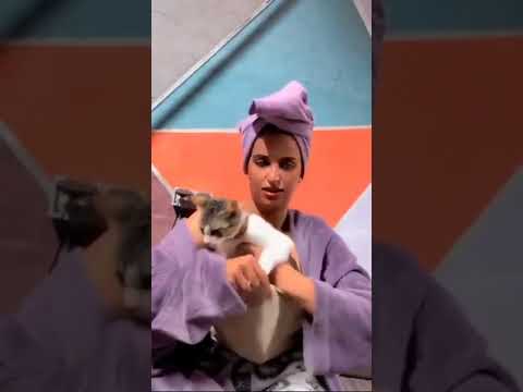 ام شامبو تكشف عن صدرها فلبث المباشر بس اخر الفيديو يجي شخص يضل يشتم فيها لا تنسو الاشتراك