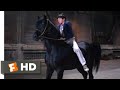 The Black Stallion Returns (1983) - Taking The Black Scene (1/12) | Movieclips