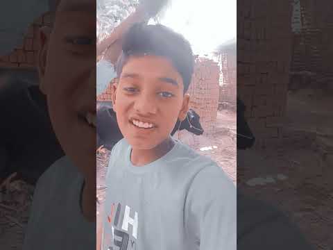 P Titli Udi Ud Na Sake Viral Video