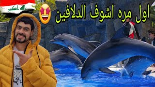 اول مره اشوف الدلافين عرض كلش حلو🥹 سويت هواي فعاليات بهذا الفيديو🇬🇪  اجواء الا بشده 😁