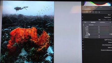 Pompano Dive Center Workshop: Lightroom - What is "HSL"
