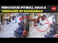 Ghaziabad a 15yearold was attacked by a ferocious pitbull attack caught on cctv