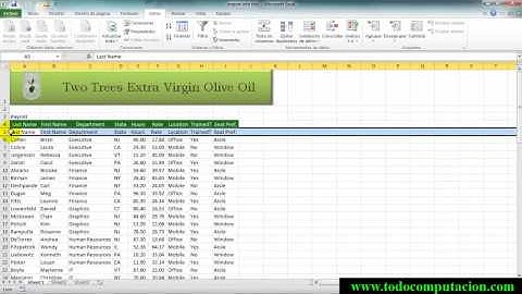 Importar y Exportar Datos en Excel 2010
