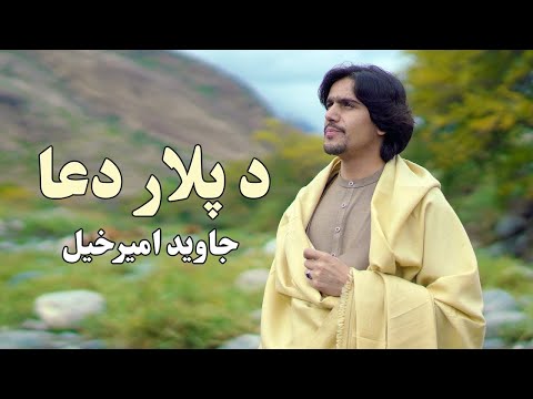 تصویری: ما از شر Kivsyak در سایت خلاص می شویم