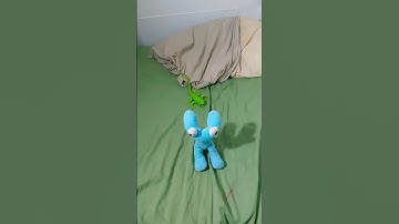 Try not to get Caught Challenge (Rainbow friends Chapter 2) #animation