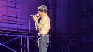 Red Hot Chili Peppers - Californication (Live Optus Stadium, Perth,  Australia 12 February 2023)