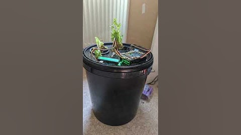 Raspberry Pi Controlled Aeroponics      #raspberrypi