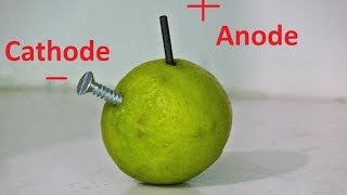 How to make a battery using  Pencil Lead, Screw and Lemon