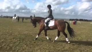 Flatwork 2 Mintridge Mudlark