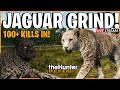 First Great One Jaguar Grind Stream! 100+ Kills Deep on the New Peru Map