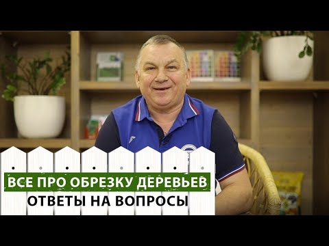 Правильная обрезка деревьев. Что рекомендует эксперт?