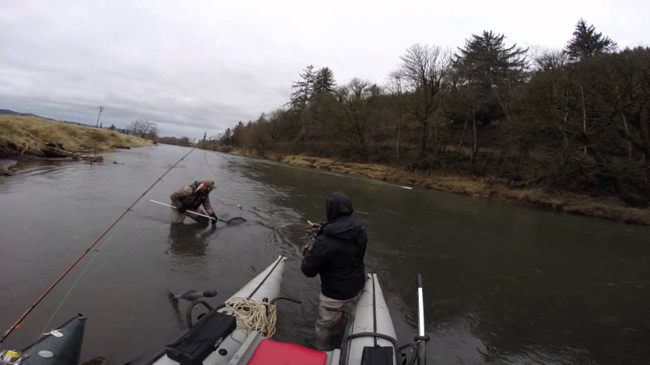 Winter steelhead fishing, Nestucca River - YouTube