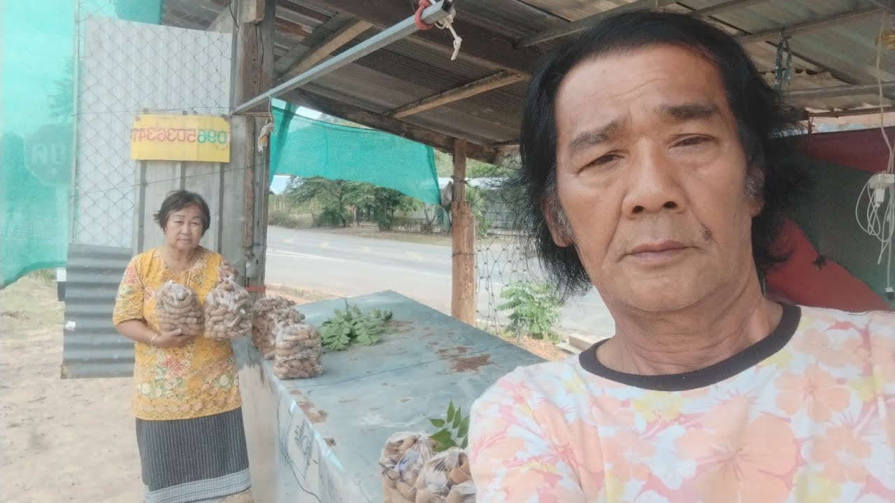 วันพฤหัสมะขามหวานริมทางสามแยกรอยต่อสกลนคร-มุกดาหาร ถ.2287,2339 # ช่องหมวดฟื้น ตนธรรมดา