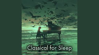 Aria - Bach - Sleeping Music - Nature Sounds - Classical Piano Sleep Music screenshot 5