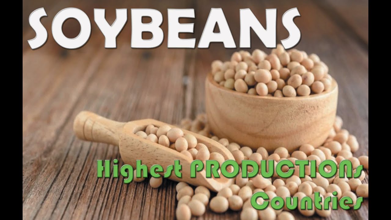Top World SOYBEANS Area Harvested (Hectare) Food Agriculture Organization Time Series YouTube