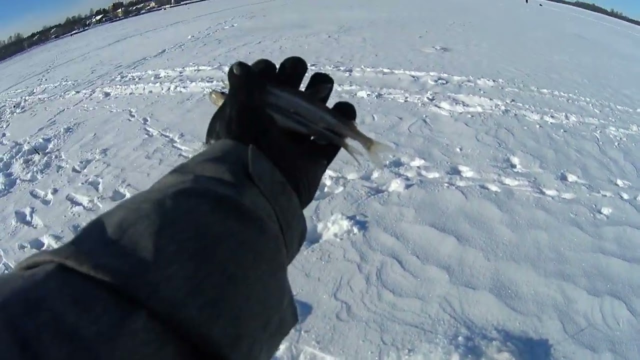 Море встало и пора за корюшкой!