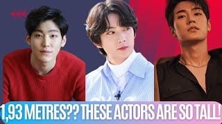 30 Tallest Korean BL Actors Height Of Over 180 Cm