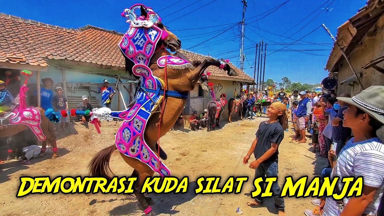 Atraksi kuda silat si manja geboy | tanji kuda renggong mekar muda di sangiang