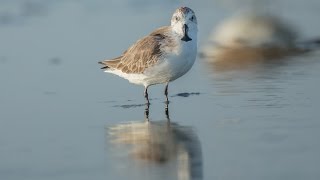 China: Between Clouds and Dreams - Trailer