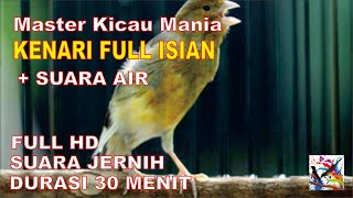 Masteran Murai, Suara Burung KENARI Durasi Panjang + Terapi Suara Air Mengalir...FULL HD...!!!