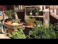 Using Antiques in the Garden | Chifferobe in Black Mountain Using Antiques in the Garden | Chifferobe in Black Mountain