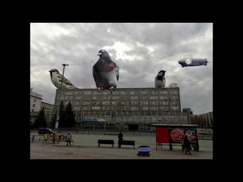 C# FileSystemWatcher работа с файлами