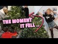 PUTTING UP OUR CHRISTMAS TREE!! SUCCESS OR FAIL?! 😳😱