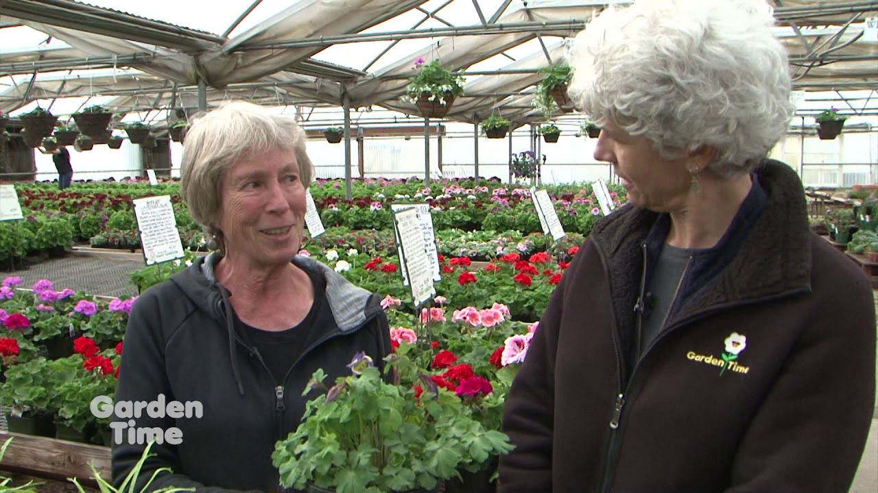 Egan Gardens - GardenPalooza