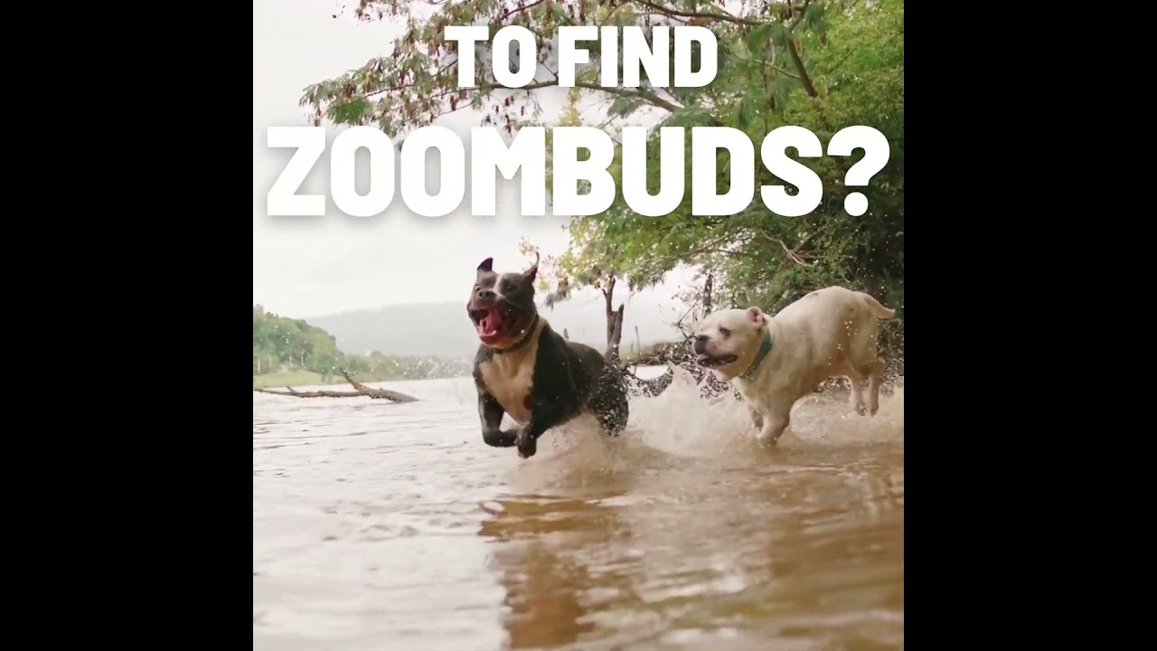 ZOOMBUDS 