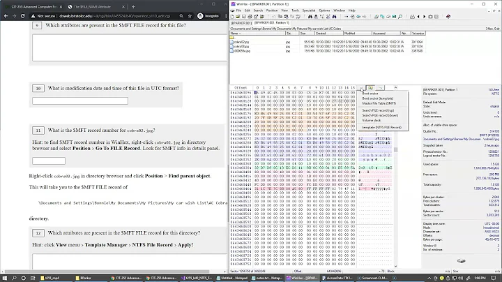 7.3 MFT attributes and timestamps, WinHex time zone display adjustment