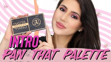 PAN THAT PALETTE INTRO: PROJECT PAN ABH MASTERPALETTE BY MARIO #panthatpalette