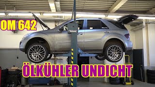 Mercedes ML 320 CDI - Das Ölkühler Problem