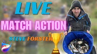 Steve Forster | Live Match | Aston Park Fishery 🎣🐟