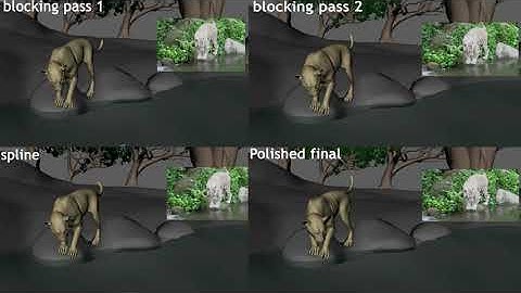 Academy  @ The Focus Animation Skill test